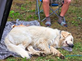 Worn out