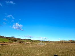 Landschap