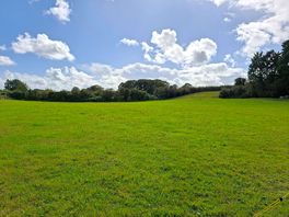 Field size