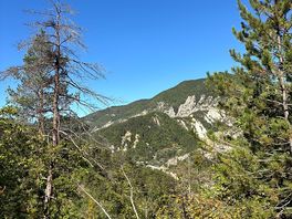 Great mountain hikes close by