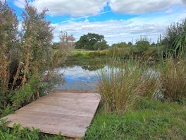 2nd pond