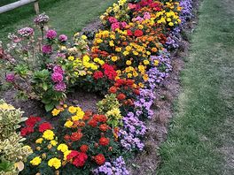 Beauty all around