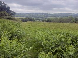 Lush surroundings