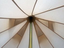Cobweb in tent
