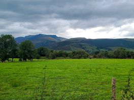 View out of our tent