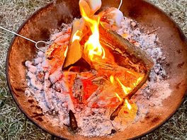 Marshmallows and fire pit