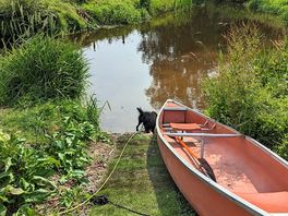 Canoe