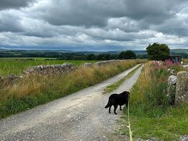 Chief dragging me to the pub