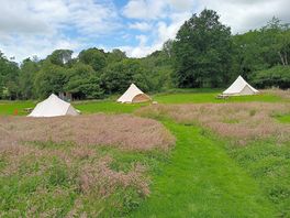 Bell tent area
