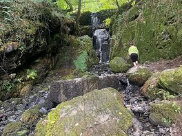 Dartmoor national park