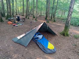 Woodland pitch
