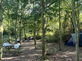 Lots of room in the woods to have our own spot