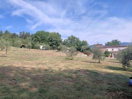 Parco
