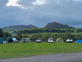 Great view of the roaches