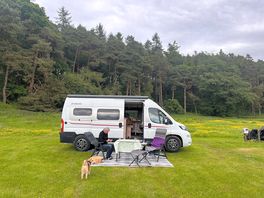 Our pitch