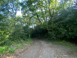 Way to the farm