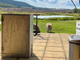 Outside seating area for the fishing lodge, drinks and a limited food menu available