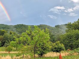 View from the tent