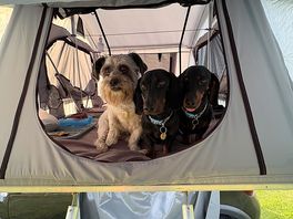 My little boys trying out the roof tent.