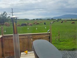 The views