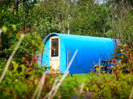 One of the pods