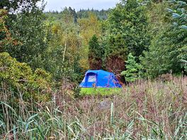 Campsite from across pond.