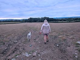 Beautiful country side walks