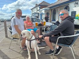 Dog friendly!