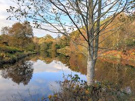 Fishing pond