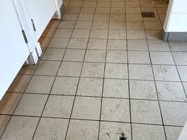 Filthy toilets