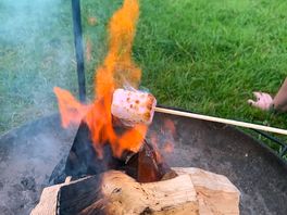 Roast marshmallows