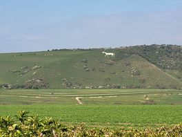 South downs way