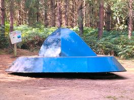 Ufo in woods