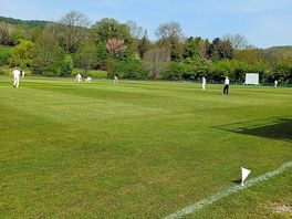 Over 60s cricket match