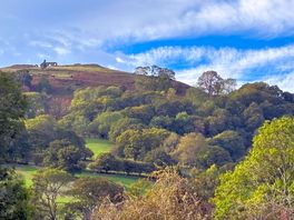 View from campsite