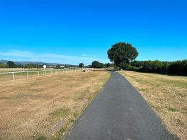 The campsite