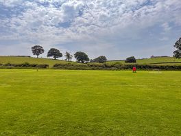 Grass pitches