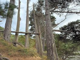Firent en bordure de falaise à la sortie gauche du camping