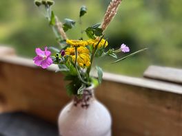 Wild flowers