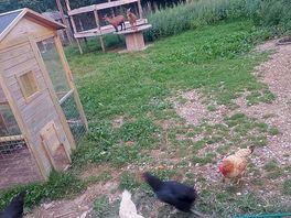Farm