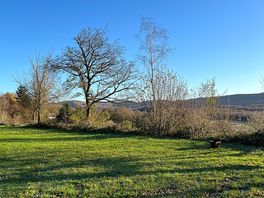 Lovely flat pitches.