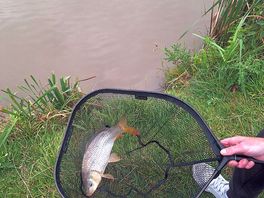 Caught a good amount of fish that day, this was actually one of the smaller ones
