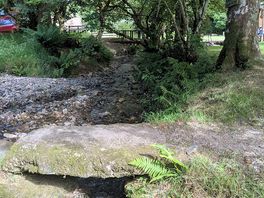 View of the river