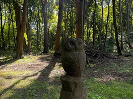 Owl carving