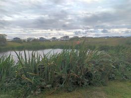 Small fishing lake