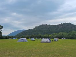 The site.