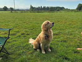 Sitting watching the world go by