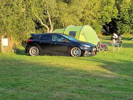 Low car managed to get across the meadow.