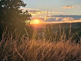 Evening walk round site