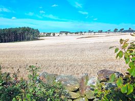 Fabulous views